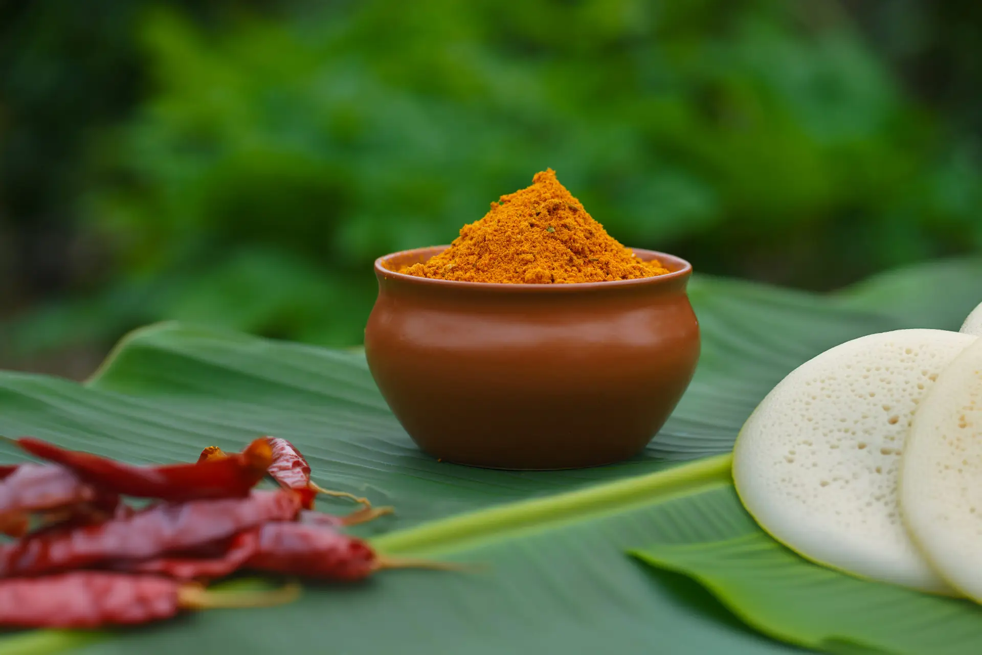 Masala and Kaaram Powders